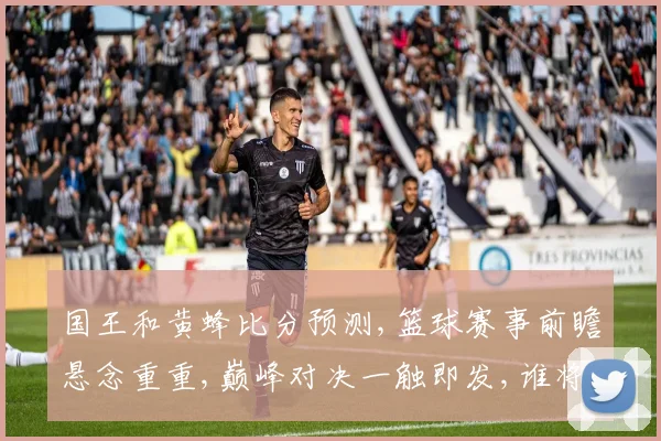 国王和黄蜂比分预测,篮球赛事前瞻悬念重重,巅峰对决一触即发,谁将问鼎