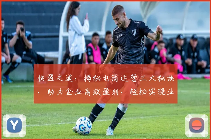 快盈之道，揭秘电商运营三大秘诀，助力企业高效盈利，轻松实现业绩翻倍