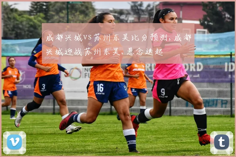 成都兴城vs苏州东吴比分预测,成都兴城迎战苏州东吴,悬念迭起