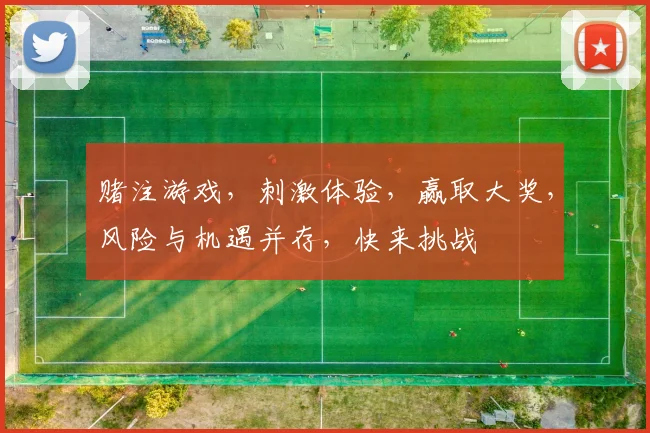 赌注游戏，刺激体验，赢取大奖，风险与机遇并存，快来挑战
